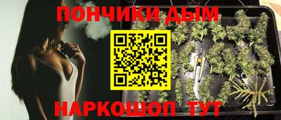 прущие грибы Будённовск