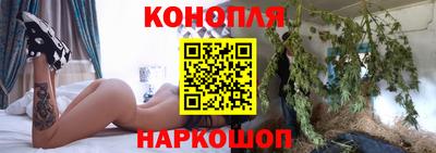 прущие грибы Будённовск