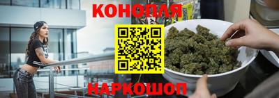 прущие грибы Будённовск