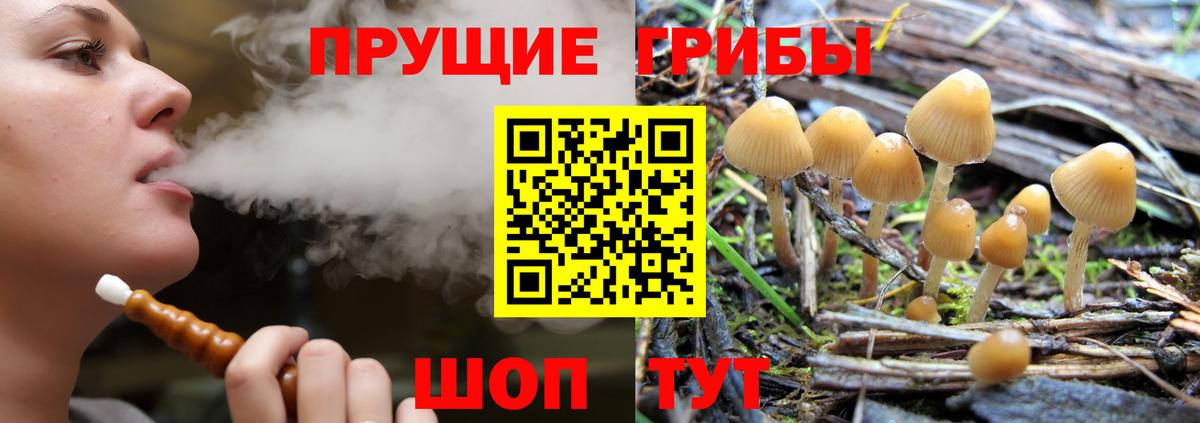 Прохладный  Псилоцибиновые грибы ЛСД  Псилоцибиновые грибы MAGIC MUSHROOMS  Вход с VPN 
